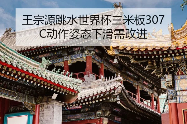 王宗源跳水世界杯三米板307C动作姿态下滑需改进