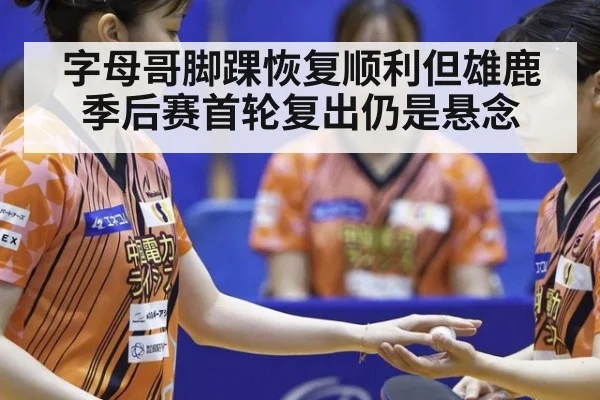 字母哥脚踝恢复顺利但雄鹿季后赛首轮复出仍是悬念